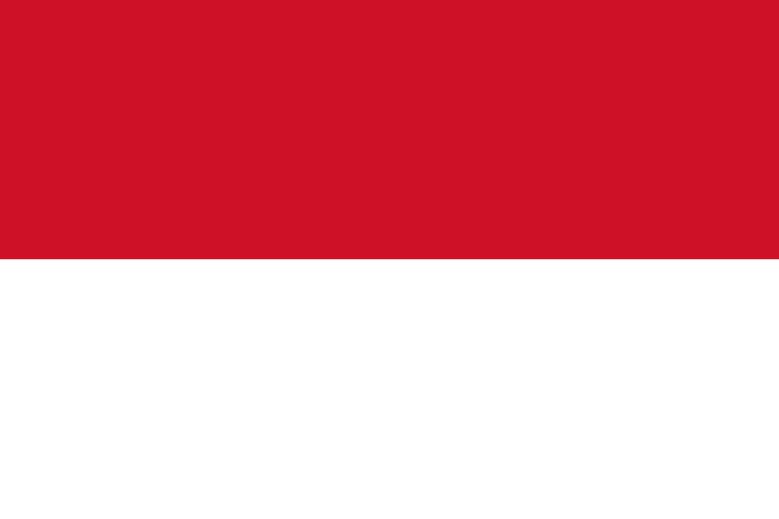 BILAN INDONESIE