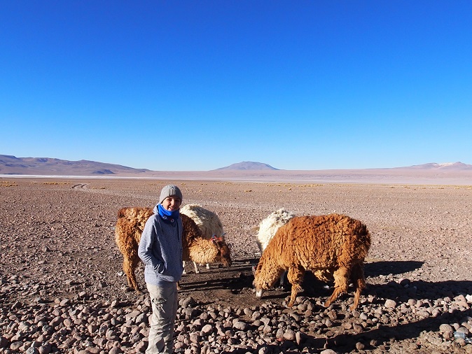  Altiplano