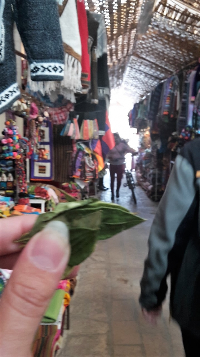  Feuille de Coca contre le mal d'altitude