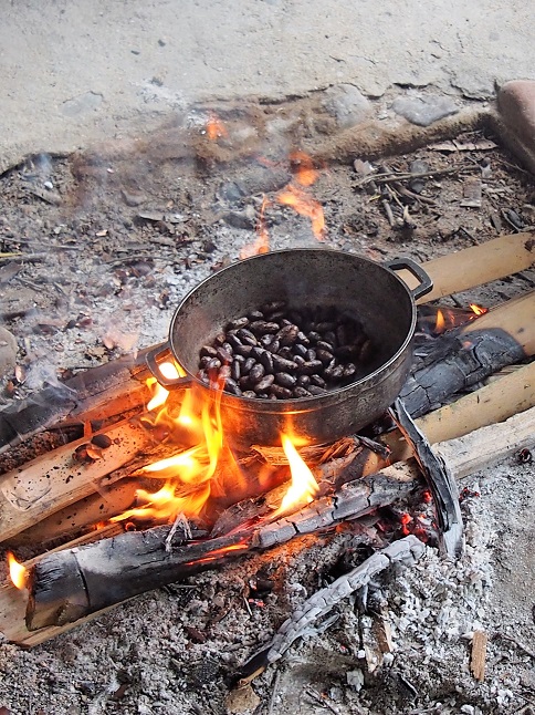  Torréfaction des fèves de cacao