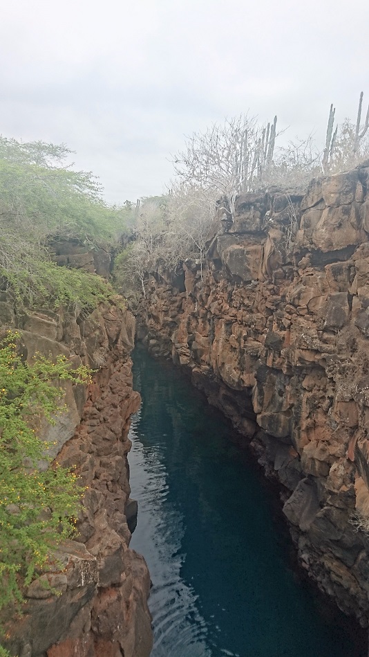 GALAPAGOS 2 S CRUZ (10)