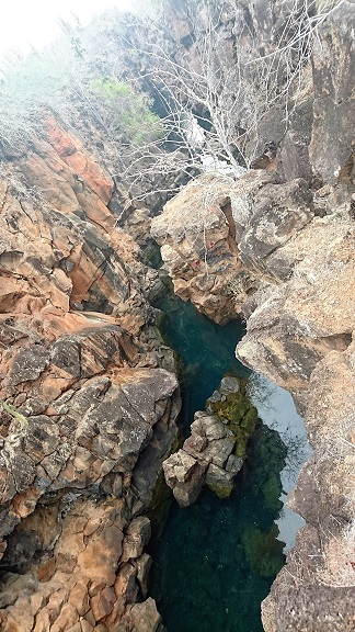 GALAPAGOS 2 S CRUZ (12)