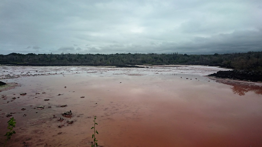 GALAPAGOS 2 S CRUZ (3)