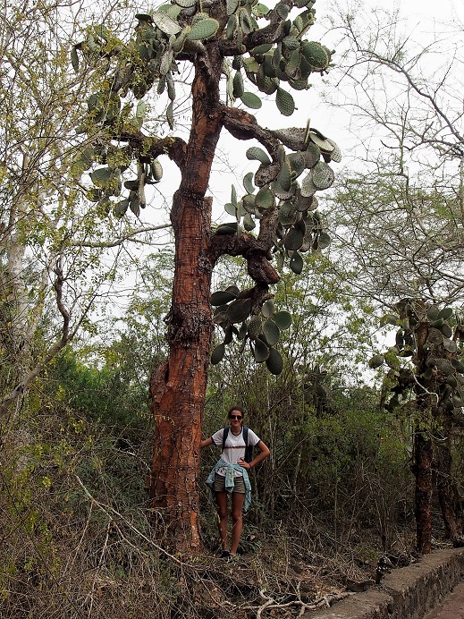 GALAPAGOS 2 S CRUZ (31)