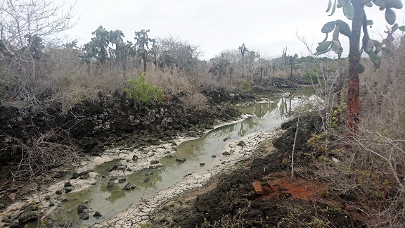 GALAPAGOS 2 S CRUZ (6)