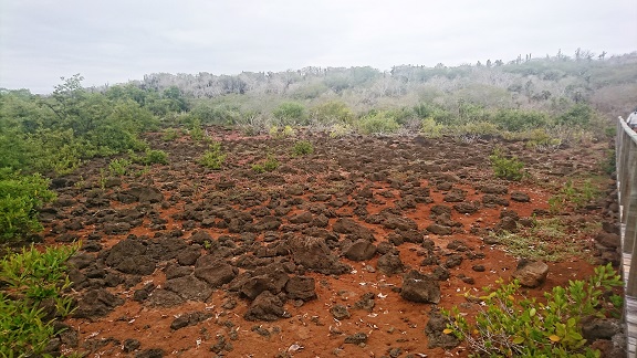 GALAPAGOS 2 S CRUZ (7)