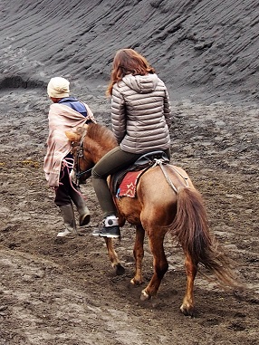 Pauvre cheval !!! 