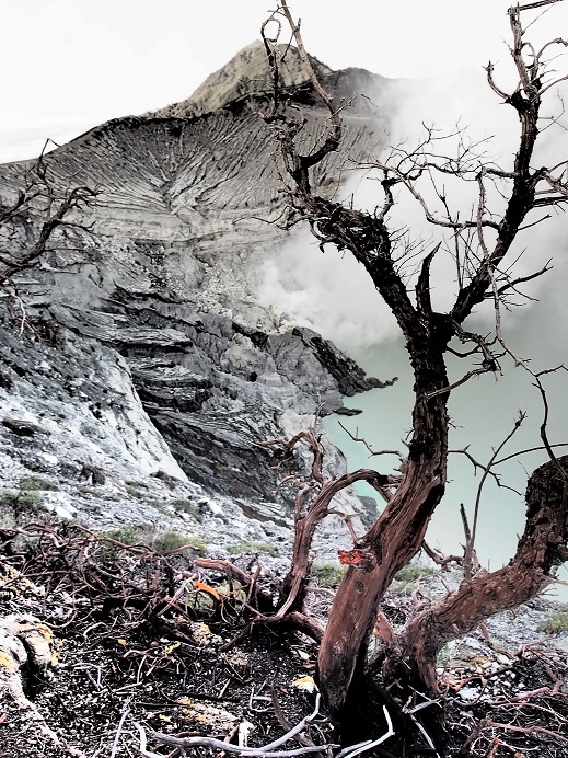 VOLCAN IJEN   