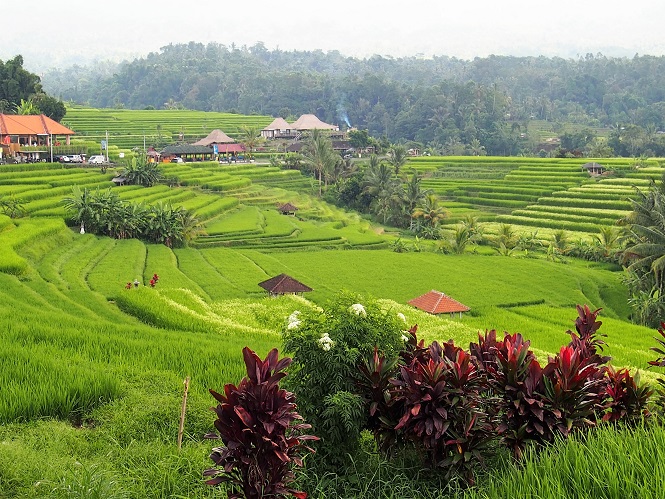 CAMPUHAN