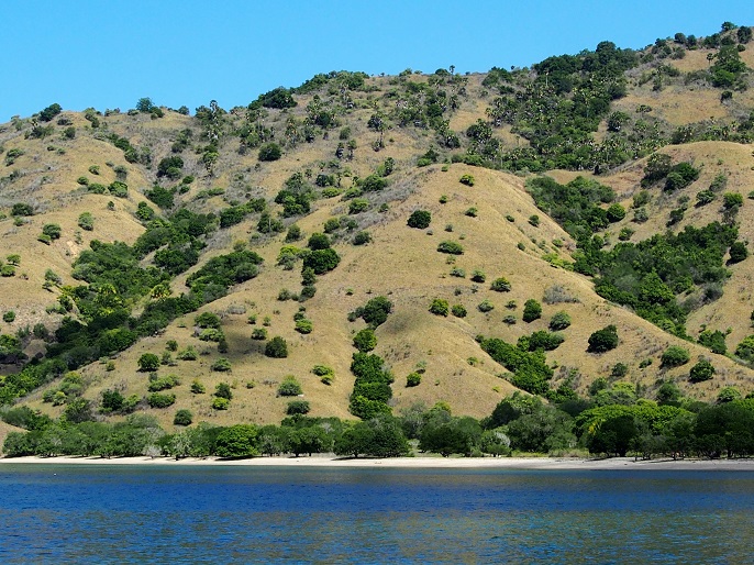     ILE DE KOMODO   