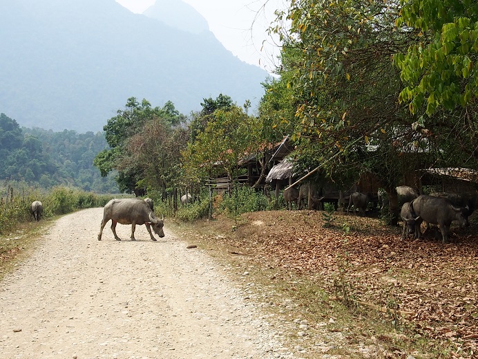 VangVieng