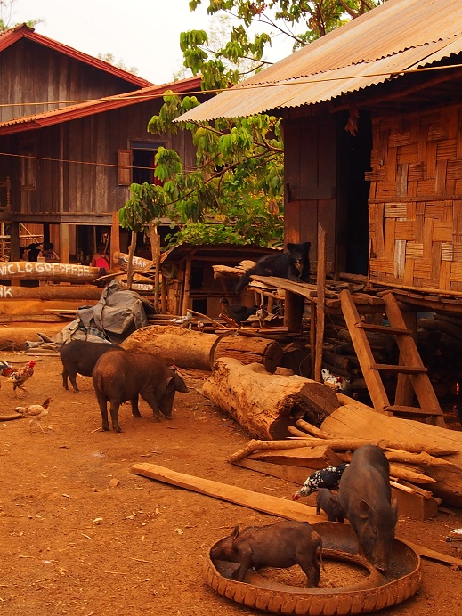 Village Kétu 