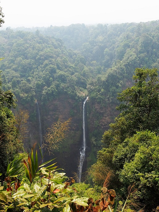 Tad yuangPlateau des Bolovens