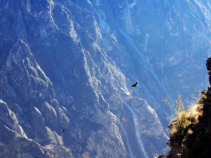 Canyon de Colca