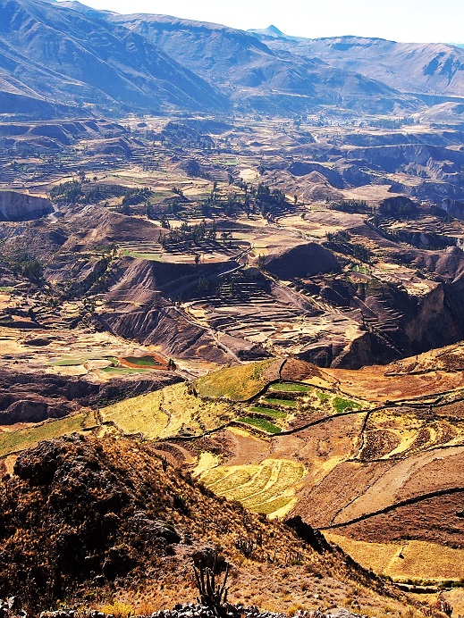 Canyon de Colca