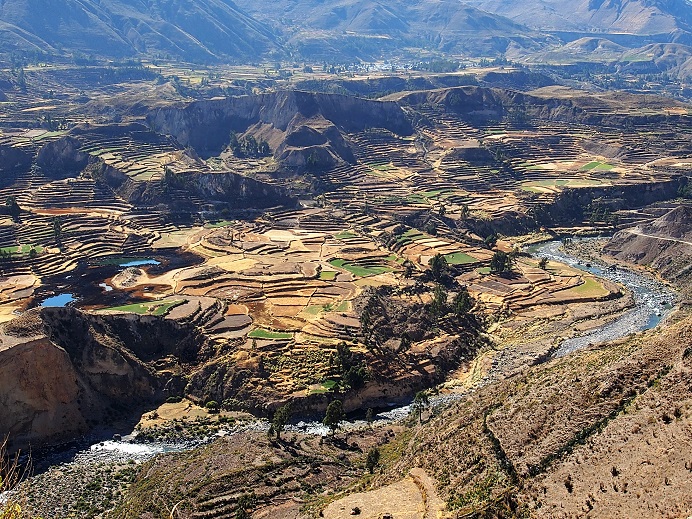 Canyon de Colca