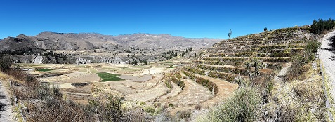 Vallée Colca Yanque