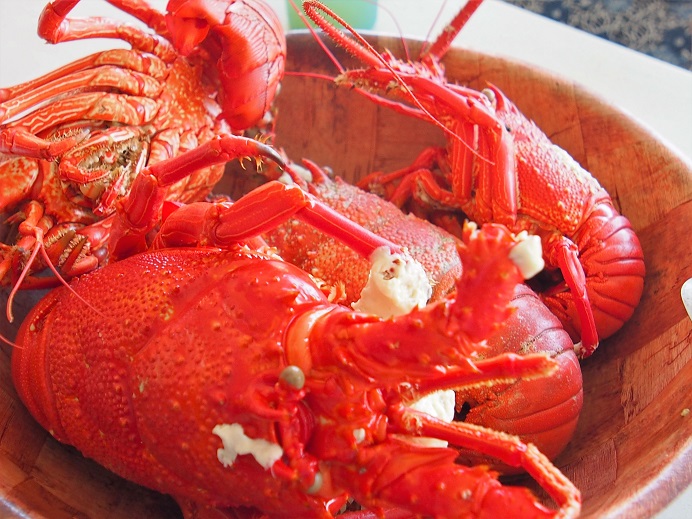 Déjeuner de langoustes