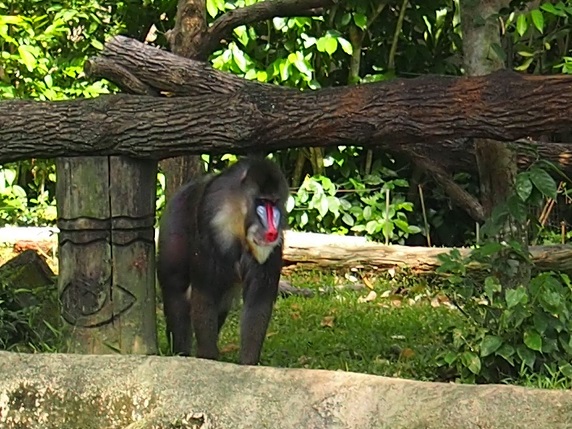 ZOO ET RIVER AVENTURE    