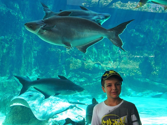 ZOO ET RIVER AVENTURE    
