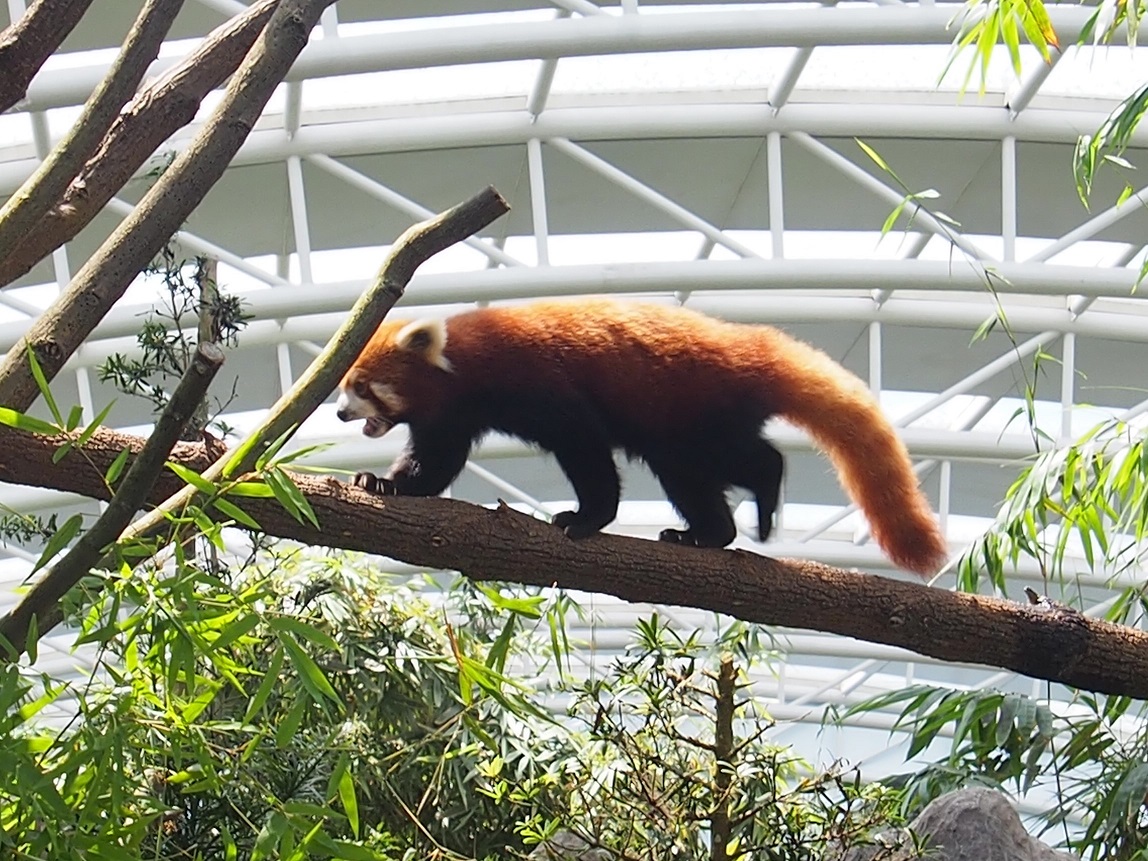 ZOO ET RIVER AVENTURE    
