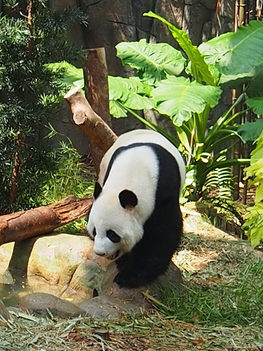 ZOO ET RIVER AVENTURE    