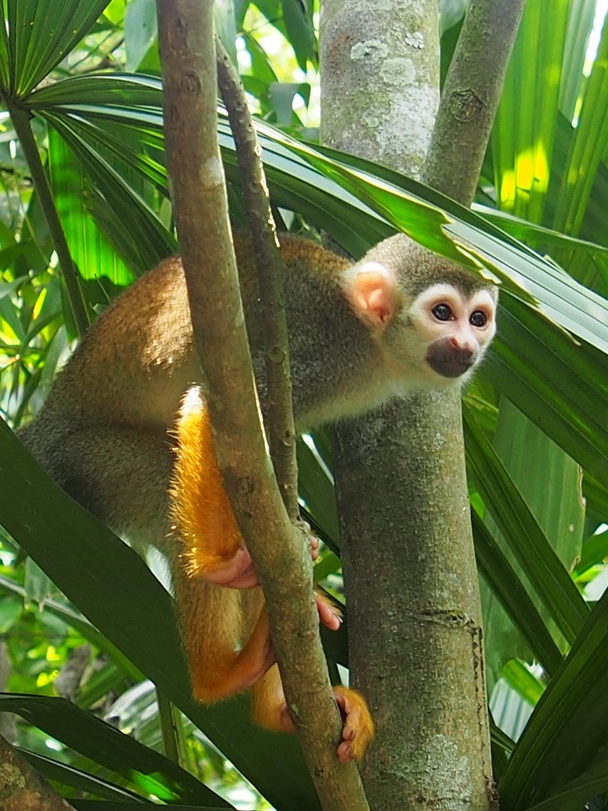 ZOO ET RIVER AVENTURE    