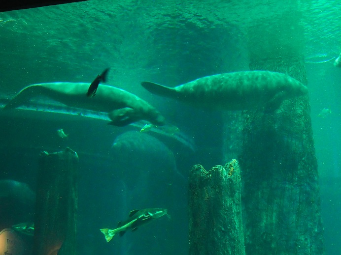 ZOO ET RIVER AVENTURE     