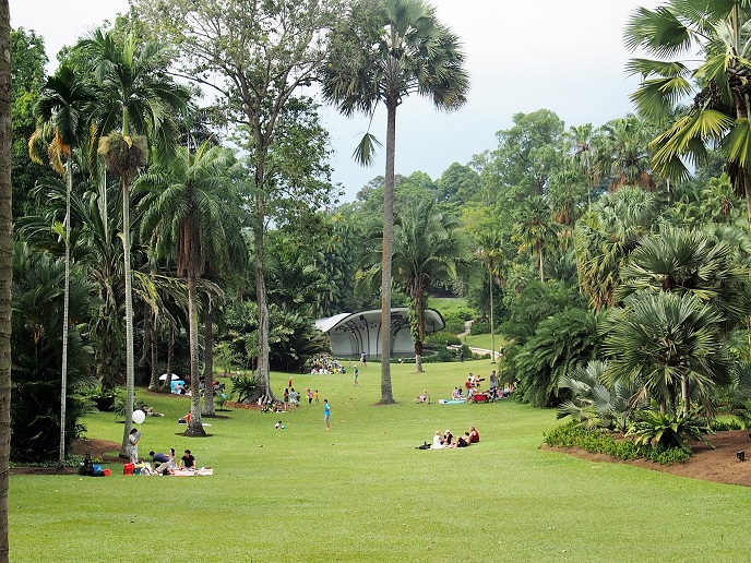 JARDIN BOTANIQUE     