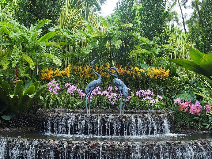 JARDIN BOTANIQUE     