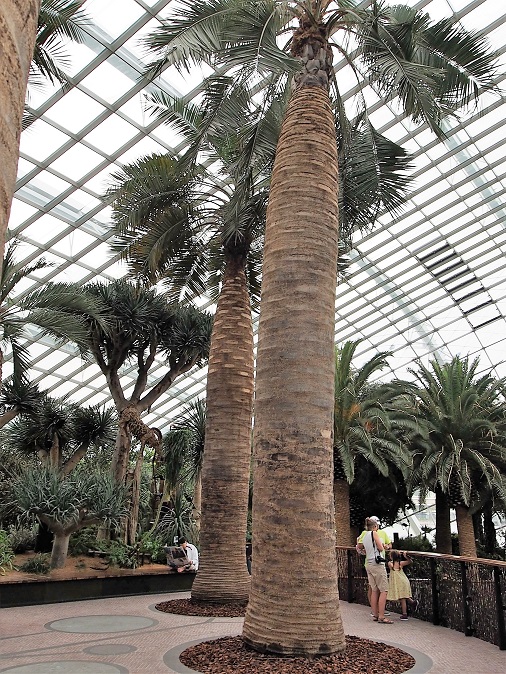 GARDEN BY THE BAY  