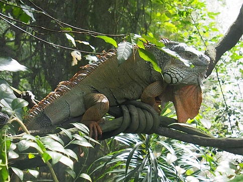 ZOO ET RIVER AVENTURE    