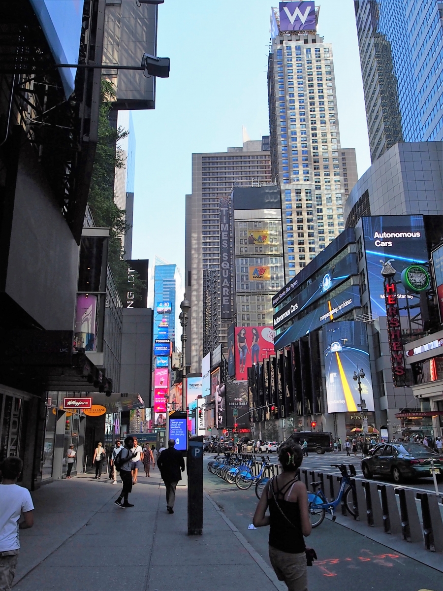 USA 03 NY (71)