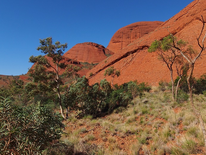 Kata Tjuta ou Monts Olga 
