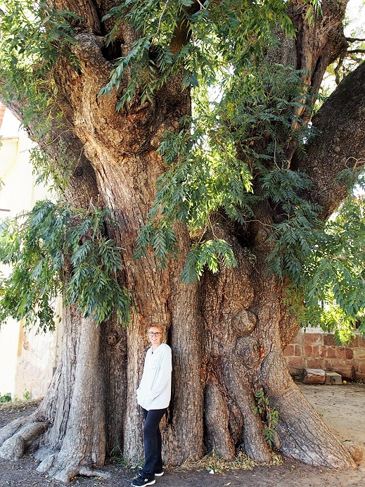 Monastère de la Récolta   