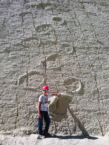  Crétacio parc Trace de pas de dinosaure 