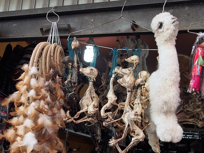  Marché des sorcières Foetus de Lama   