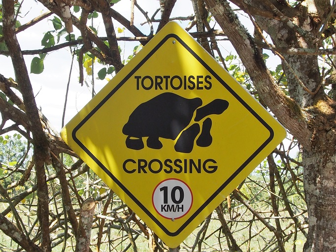 GALAPAGOS 6 S CRUZ (17)