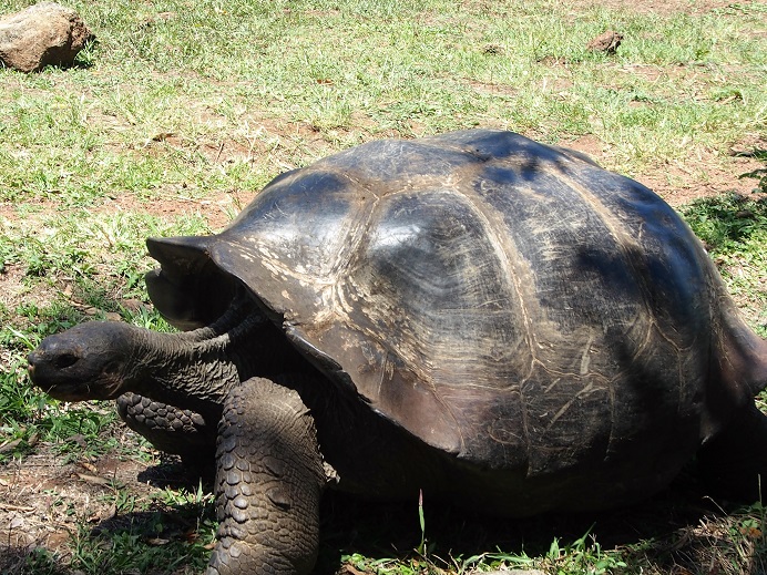GALAPAGOS 6 S CRUZ (21)