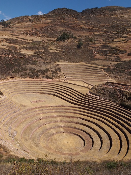  Moray 